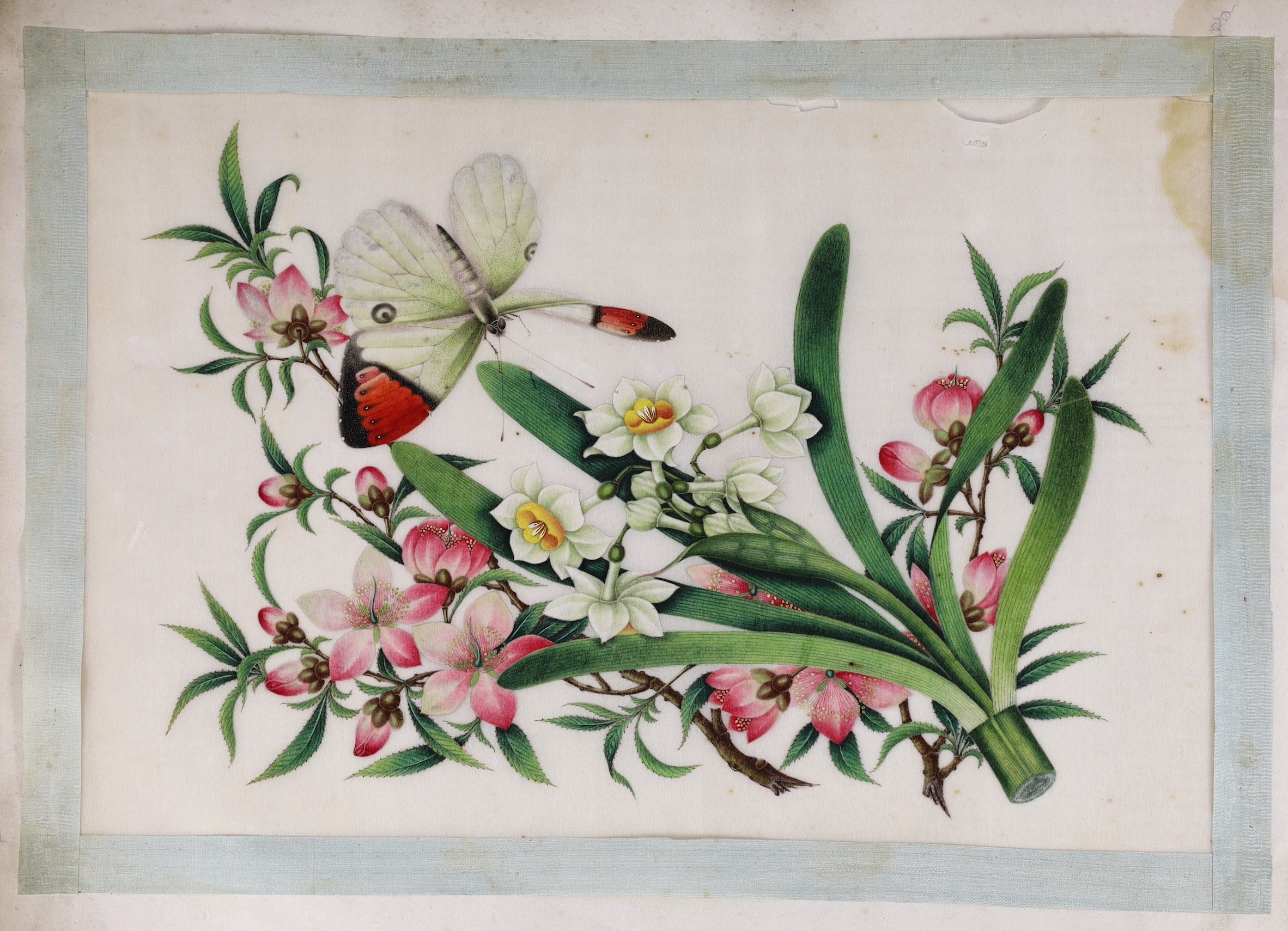 Two Chinese albums of pith paintings, 19th century, 25cm x 32cm